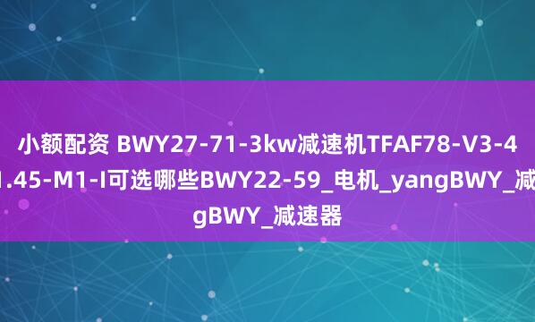 小额配资 BWY27-71-3kw减速机TFAF78-V3-4P-31.45-M1-I可选哪些BWY22-59_电机_yangBWY_减速器